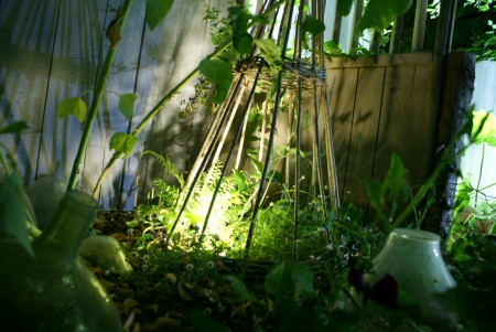Vue nocturne 'Le laboratoire'